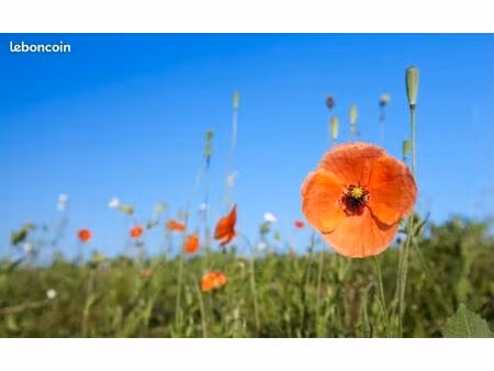 terrain 521 m² pessac