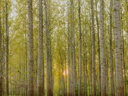 terrain 19 m² varinfroy