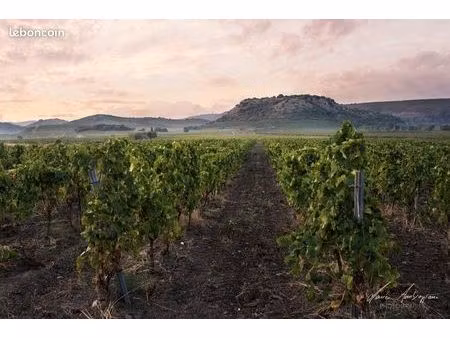 propriété viticole 572 m²