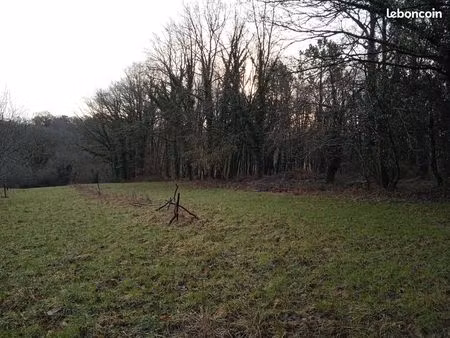 beau terrain en campagne