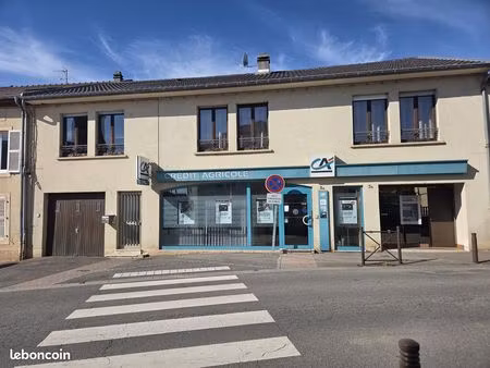 immeuble 251 m² metzervisse