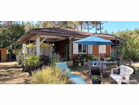 sous les pins   maison ossature bois quartier résidentiel