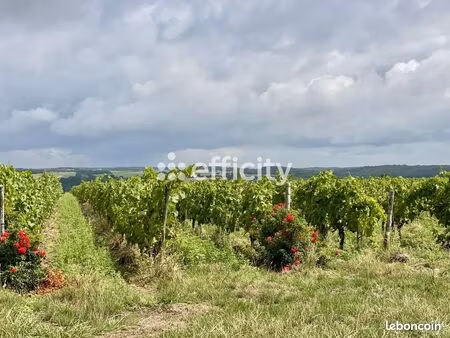 terrain 967 m² cheille