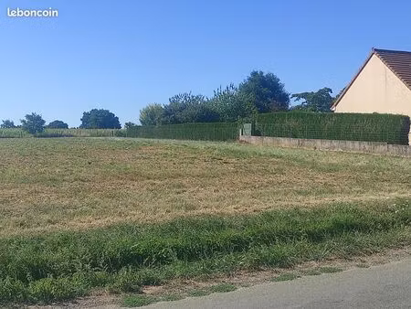 terrain constructible