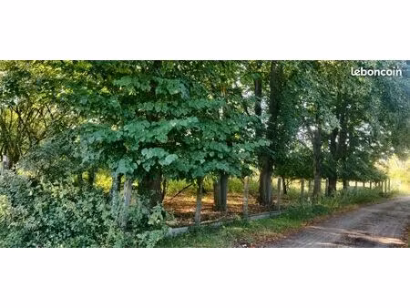 15 le m² moisson lavacourt - terrain d’agrement de 2500 m²