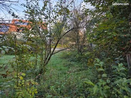 terrain ergersheim 300m2