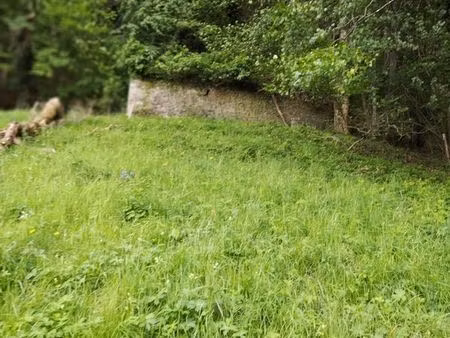ruine de grange foraine à reconstruire