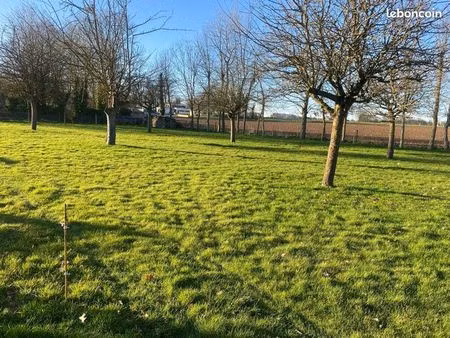 terrain constructible 1256m2