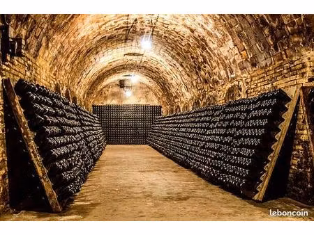 recherche cave à vendre