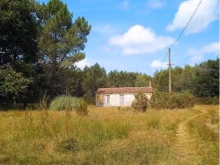 propriété naujac sur mer