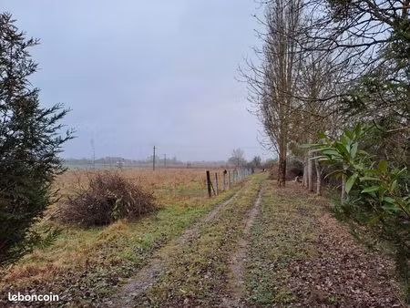 terrain pour chevaux