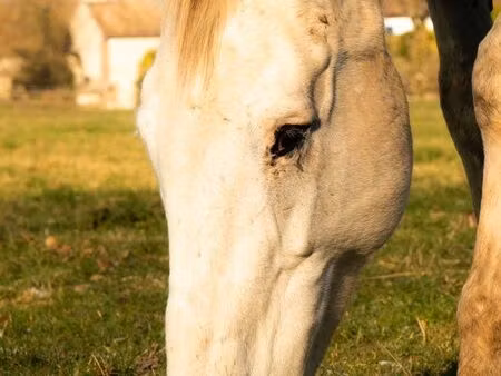recherche terrain à vendre ou louer