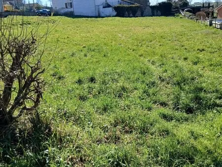 terrain constructible