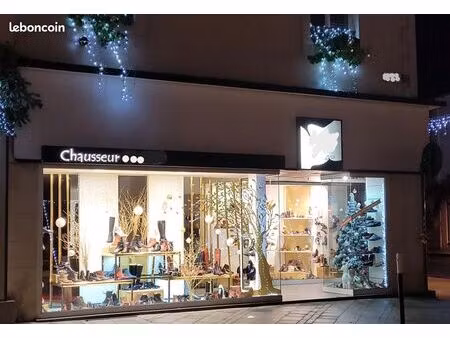 fonds de commerce chaussure/cuir la fleche