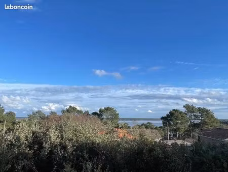 forêt 470 m² lacanau