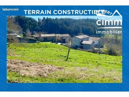 terrain 2918 m² saint-martin-des-olmes