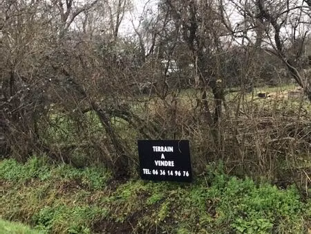 terrain constructible