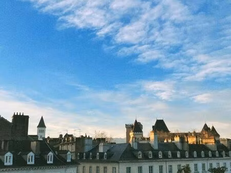 t3 traversant rénové – hyper-centre pau – vue hédas & château