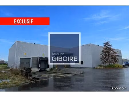 local d'activité 1 246 m²