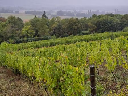 vente vigne bio gamay savoie chautagne