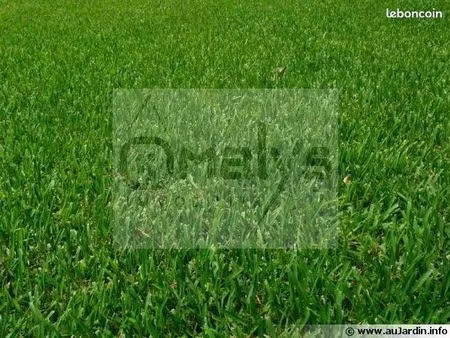 terrain 2800 m² aire-sur-la-lys