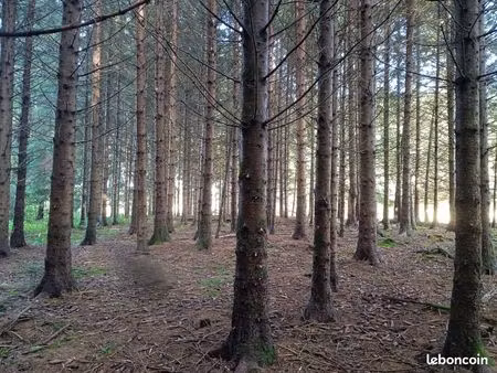 deux parcelles de bois st alyre