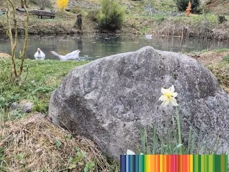 propriété 4 pièces 141 m²