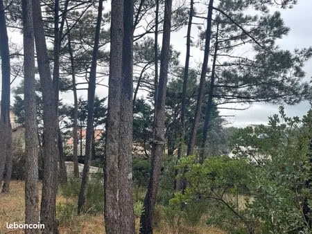 terrain 468 m² lacanau