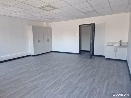 locaux professionnels a louer