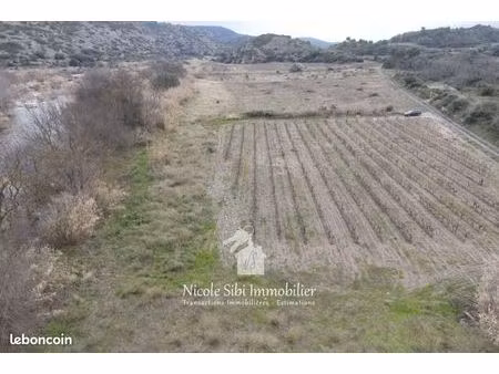 terrain agricole 5 600 m² estagel