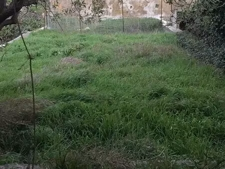 maison 3 faces avec jardin