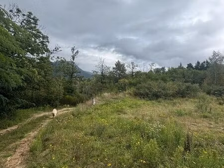domaine de 2 hectares avec hangar  prêt à bâtir