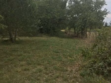 terrain agricole - 4 hectares constructible pour une activité agricole