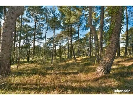 terrain 1 520 m² hardelot plage