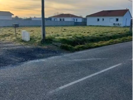 terrain constructible