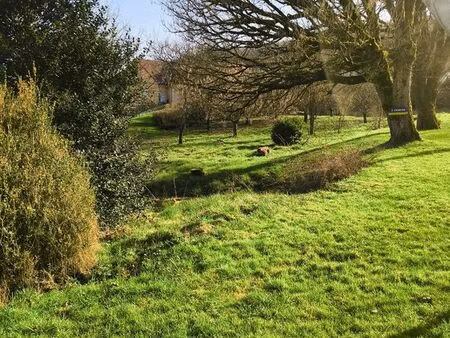 terrain constructible