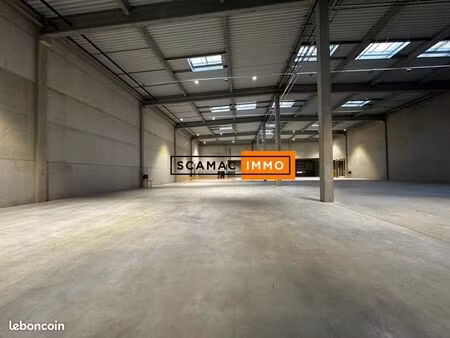 local logistique 3 256 m²