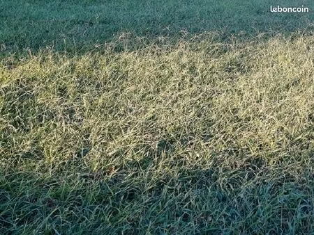 terrain 407 m² baho