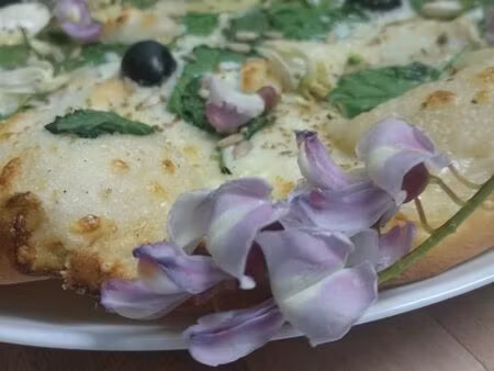 local pizzeria avec logement