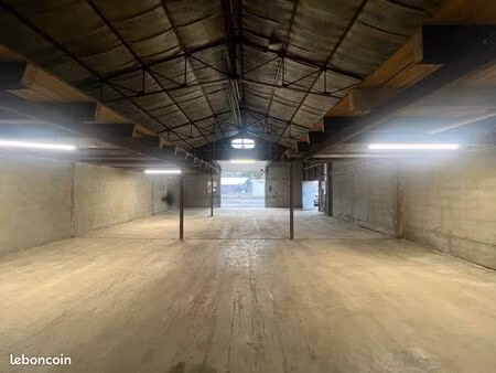local /dépôt professionnel 350 m2+bureau 100 m2