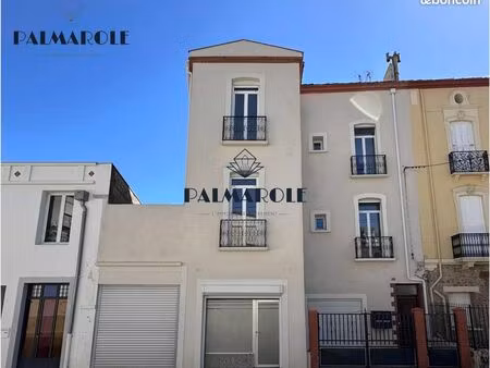 immeuble 180 m² perpignan