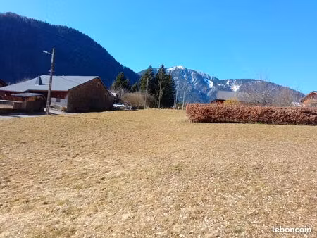 terrain constructible