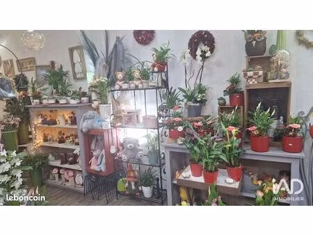 murs commerciaux 61 m² amélie-les-bains-palalda