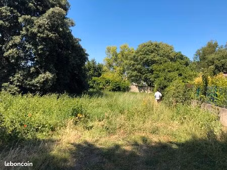 terrain constructible