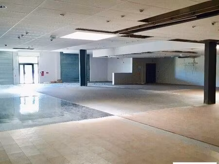 local commercial 463 m² saint egreve
