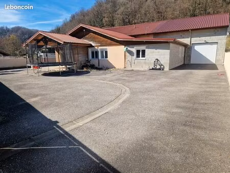 local professionnel bureaux/logement de fonction