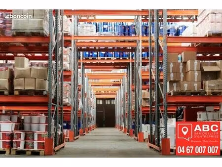 local d'activite 1100 m² pia