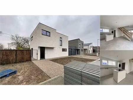 maison à louer avec terrasse et jardin   templeuve (vbd92053)