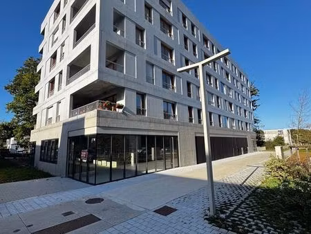 local commercial neuf