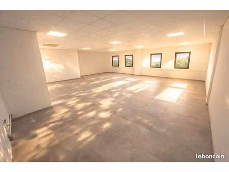 local d’activité 200 m²